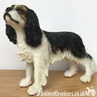 Cavalier King Charles Spaniel Tricolour Leonardo ornament figurine, gift boxed