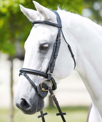 Bride en cuir Weymouth avec bandeau en cristal, doubles rênes