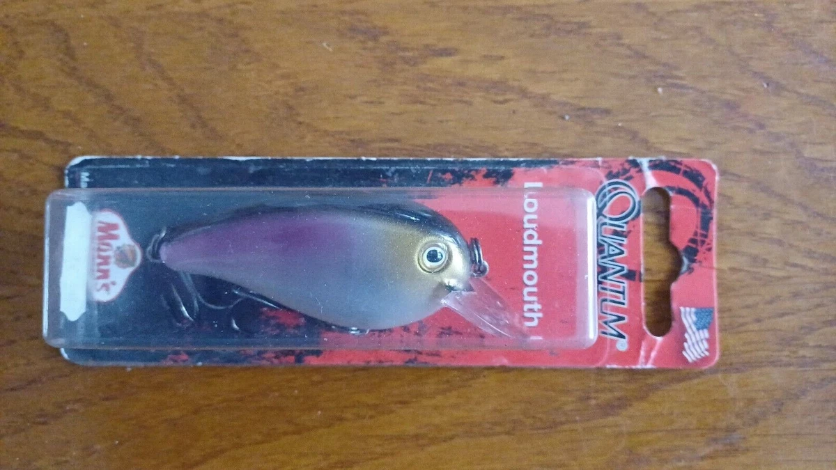 Leurre De Pêche Noeby 8cm 9.2g - Nageur Flottant Pour Truite - Finition Holographique