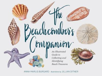 Beachcomber's Companion : An Illustrated Guide to Collecting and Identifying...