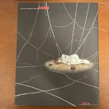 visual experiments lain Yoshitoshi Abe Art Book Illustration