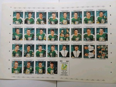 LONDON KNIGHTS VINTAGE 93/94 UNCUT SHEET OF TRADING CARDS COMPLETE SET CHL