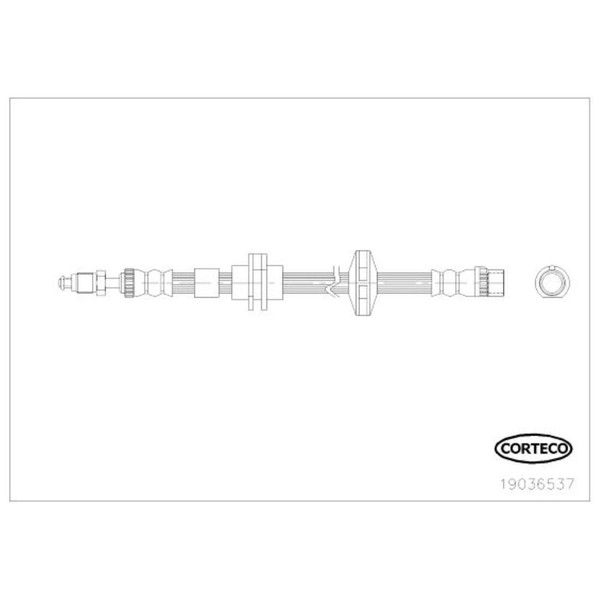 Corteco Bremsschlauch Vorne FüR Renault Laguna III Grandtour Coupe 19036537-image