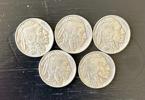 Lot Of 5 1937 P Buffalo Nickel Philadelphia Mint Full Date Horn And Tail Visible
