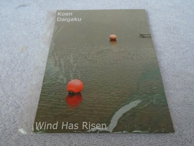 Koen Daigaku - Wind Has Risen 3'' Mini CDr  - Twisted Tree Line TTL014 -Ambient,