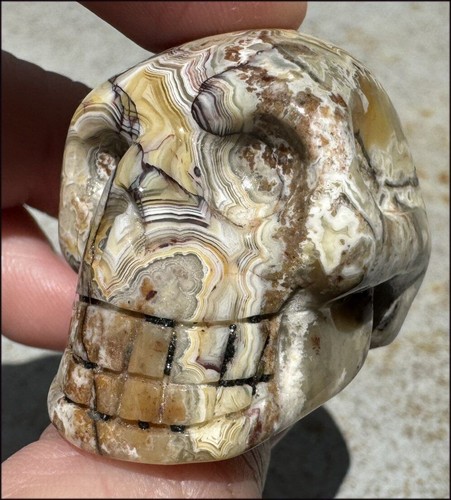 ~Mesmerizing~ Crazy Lace Agate CRYSTAL SKULL - Stamina, Divination - Picture 4 of 10