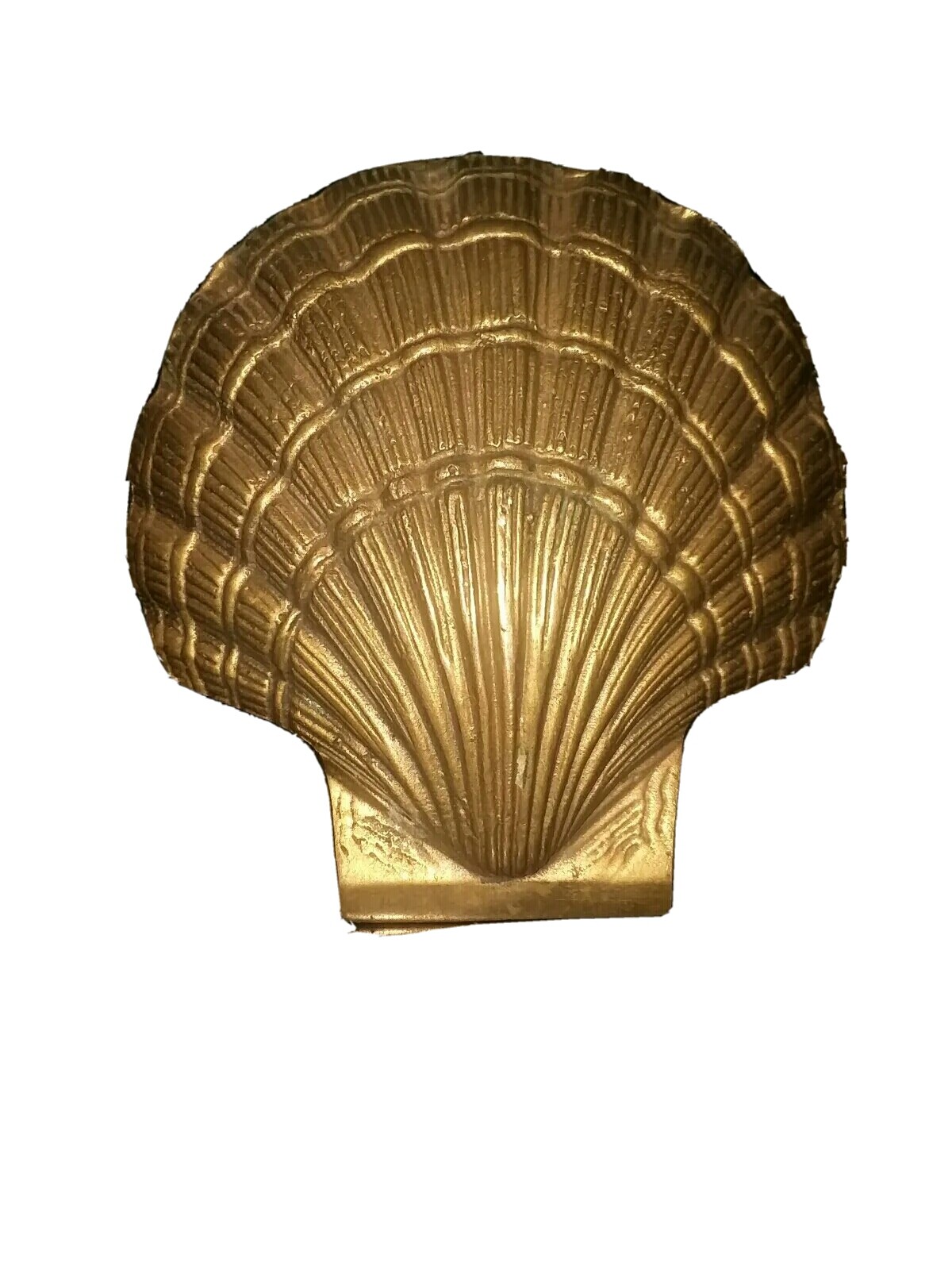 Brass Sea Shell eBay