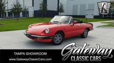 1984 Alfa Romeo Spider for Sale