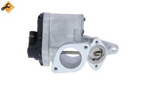 NRF AGR Ventil Easy FIT 48395 FüR Renault ScÉNic Megane 12V 2 JM0 Laguna BG0 EM0
