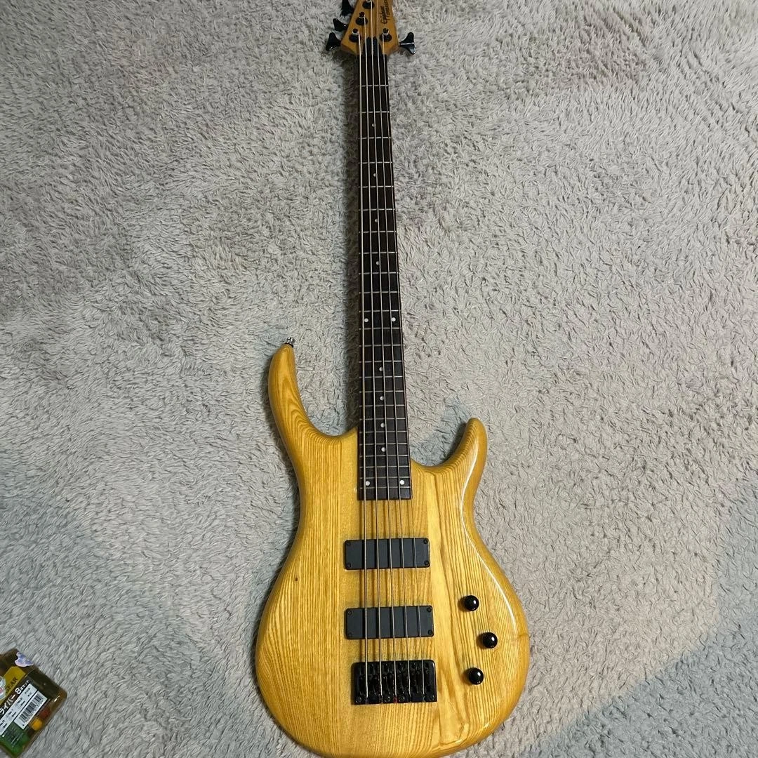 Epiphone 5 String Bass Guitars for sale | eBay