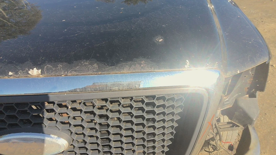 08 FORD PICKUP F150 Hood (No Shipping) Foto 3 de 4