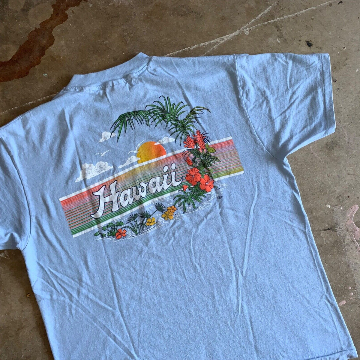 レア★AIRWALK USA製ヴィンテージ　hanes beefy 80s Vintage 80'S Hanes BEEFY-T Blue Tag Printed T-shirt Made in USA