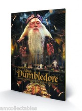 PIRAMIDA DRUK NA DREWNIE - HARRY POTTER DUMBLEDORE - 40x60 cm - PLAKAT NA ŚCIANĘ Z DREWNA