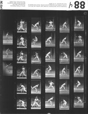LD255-77 ORIG ContactSheet 1989 Detroit Tigers Milwaukee Brewers Don August Bean