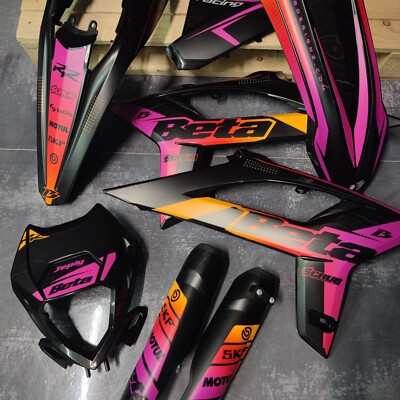 Kunststoff + Grafik appliziert Beta RR Polisport Restyle 2013-2017