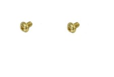 GOLD 2PCS SCREWS FOR CHAINGUARD LOWRIDER BEACH CRUISER CHOPPER BIKES CYCLING