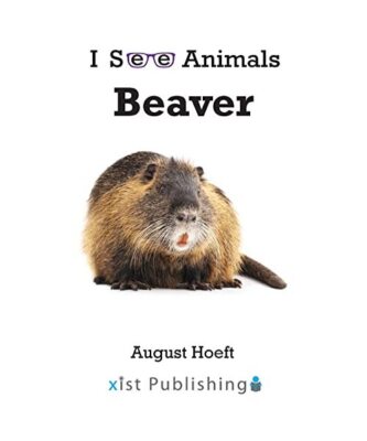 Beaver, August Hoeft