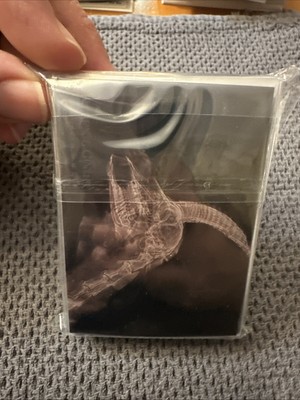 2024 Topps Allen and Ginter X-Ray'd Complete Insert Set (20) Oregon Zoo XRays
