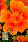Dr Jim Stamps 2011 Garden Of Love Marigold First Day Issue Photo Paper Card