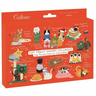 CALTIME Cat Treats Pet Advent Calendar Twelve Cats Of Christmas Advents For Cats