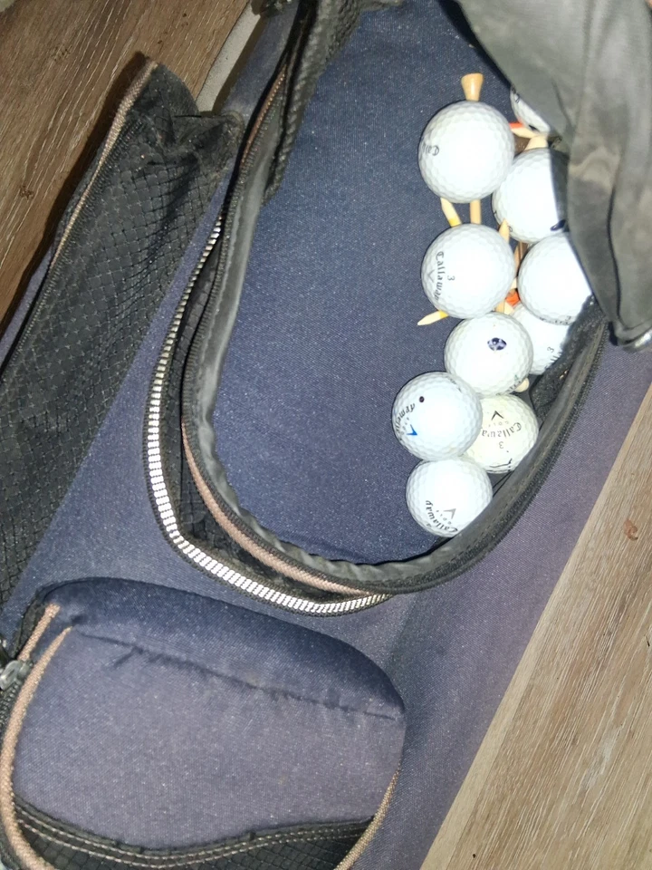 Bolsa ligera para carro de golf Datrek Lite Rider divisores de 14 vías Foto 2 de 4