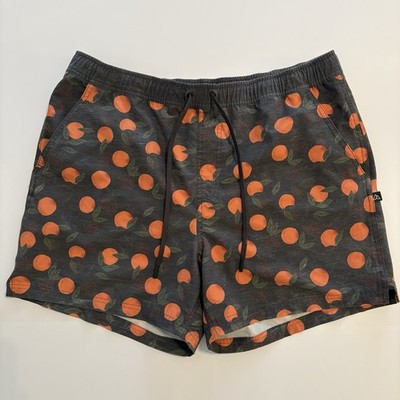 Alpine Design Men s Size L Make Waves Water 5''  Shorts Grey with Orange Fruit