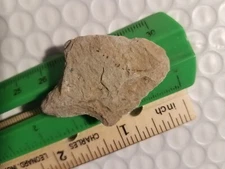 AUTHENTIC NATIVE AMERICAN INDIAN ARTIFACT FROM EASTERN N. C.--- MM/06