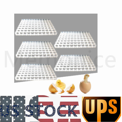 5pcs Egg Trays For Eggs Incubator Capacity 88(Small (Quail/Bird)) Fast Shipping