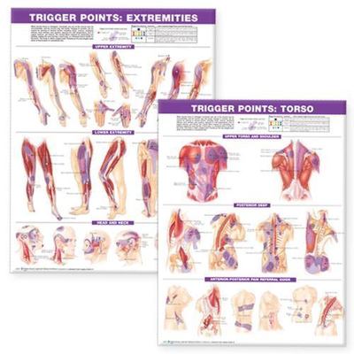Trigger Points Chart Set : Extremities and Torso, Paperback by Anatomical Cha...