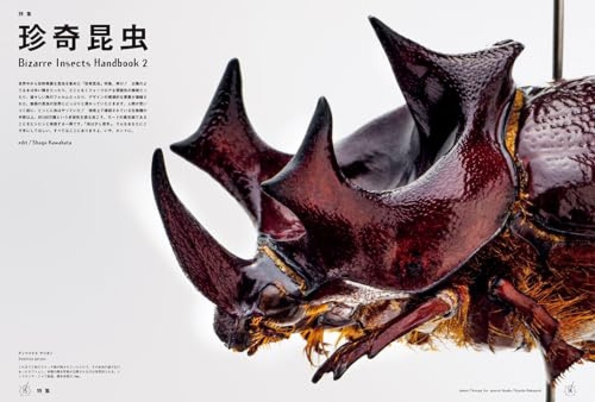Bizarre Insects Handbook vol.2 BRUTUS No.1012 August 1, 2024