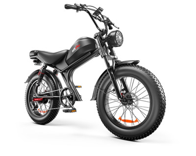 C93 Single Drive 20 Inch, High Speed Electric Bike- It Is Forbidden To Sell The 