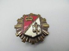Antique French Enamel Fleur De Lis Crown and Shield Pin