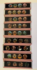 9 x Antique (Victorian?) Magic Lantern Slides - Madam Trot & her pig