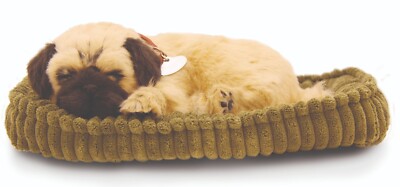 Edler Petzzz - Mops
