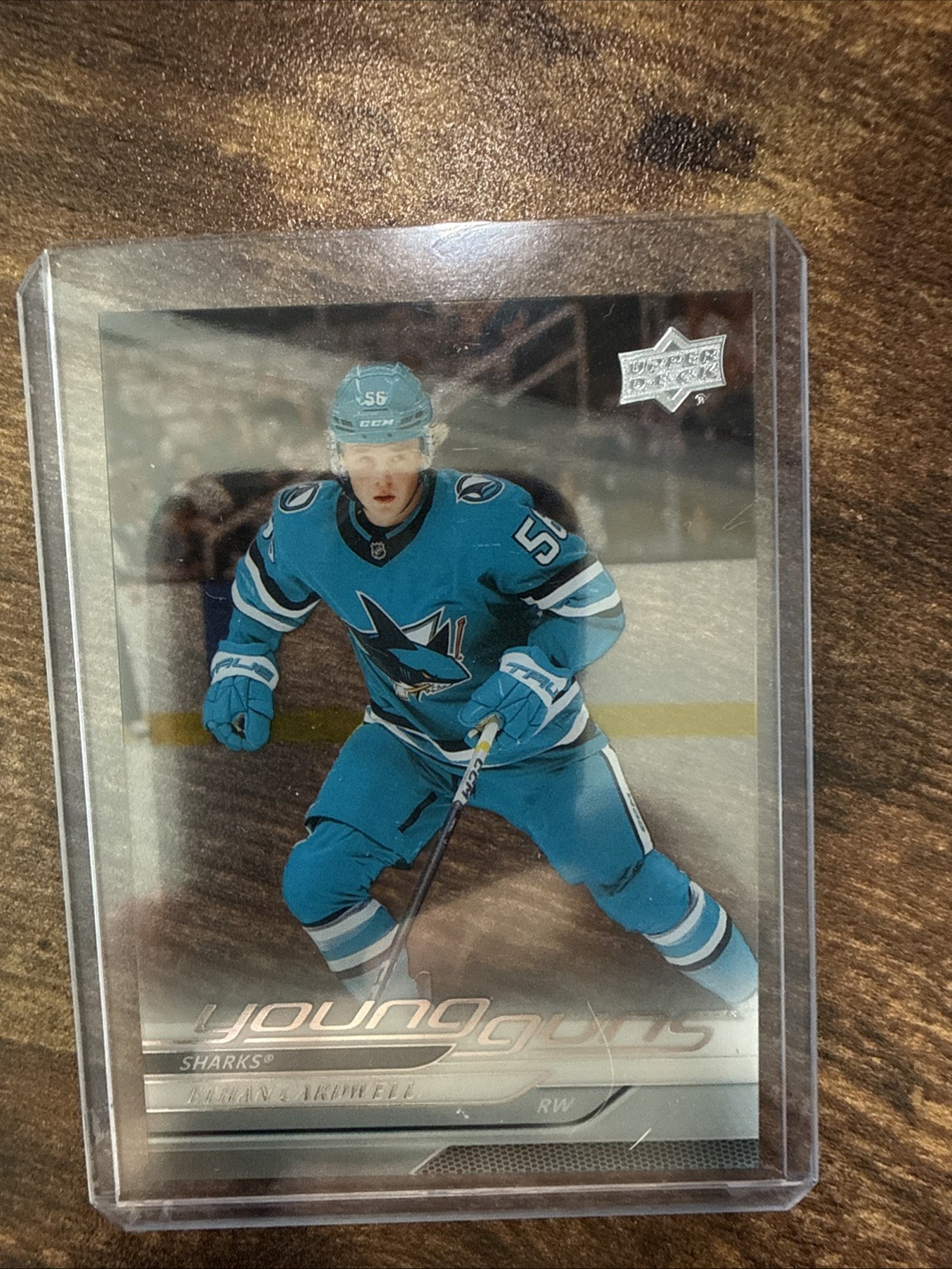 2024-25 Upper Deck Series 2 - Young Guns Ethan Cardwell #459 Clear Cut (RC)