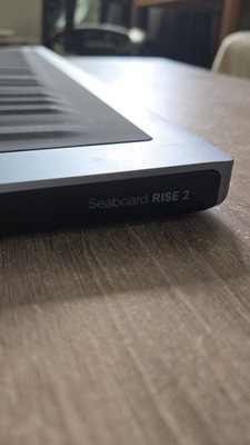 ROLI Seaboard Rise 2 | 49-key MIDI Keyboard | eBay
