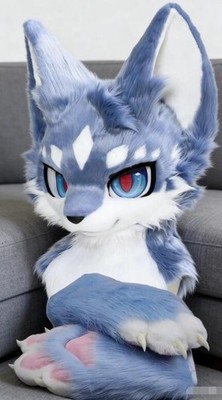 Fursuit Long haired Dog Fox Mascot Party Halloween Fur Cosplay(head+claws)