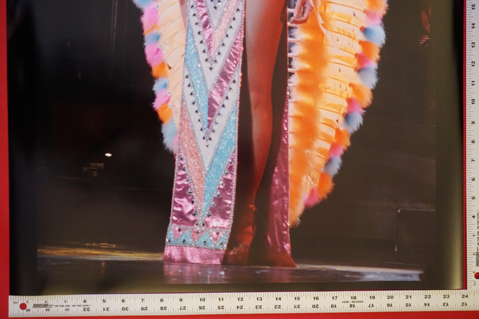 Cher Headdress Costume Classic Live Music Collectible Picture Poster