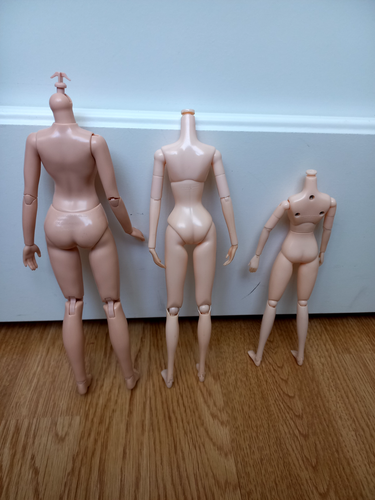 lot de 3 corps poupées articulé billie eilish et 2 pullip - Imagen 6 de 6
