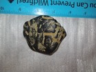 Native American Indian Hydroglypgic Rock Oregon Petroglyph Ancient Basalt 2.5" — photo 10