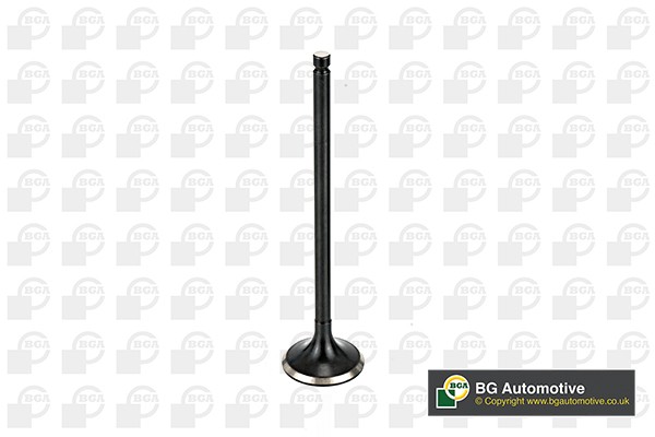 Fits BGA V165411 EXHAUST VALVE   ⭐UK Stock⭐