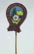Croatia Mountaineering PD. SOKOLOVAC SL. POŽEGA KASUN, vintage pin badge 1960s !