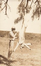 Postcard Odessa Texas Home of the Jack Rabbit Roping Contest