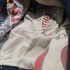 Bild 5 von 5