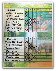 Chore Chart Dry Erase Board