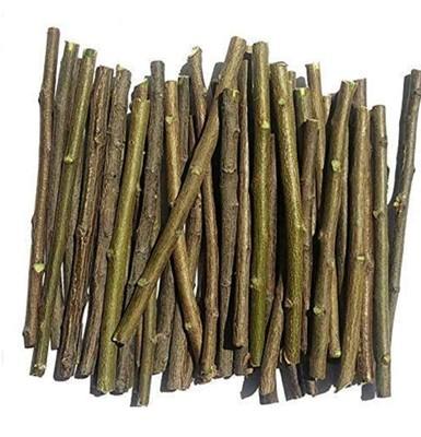 10 pc- 100 pc Neem Sticks Azadirachta Indica Sticks DATUN for Teeth and Gums, Or
