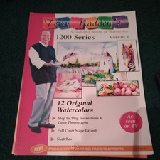 Terry Madden  s Watercolor Workshop: 1200 Series Vol 1