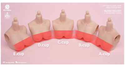 Worldbox 1/6 Women's Large Breast Accessories D/E Cup Fit Worldbox 1/6 Women's Large Breast Accessories D/E Cup Fit