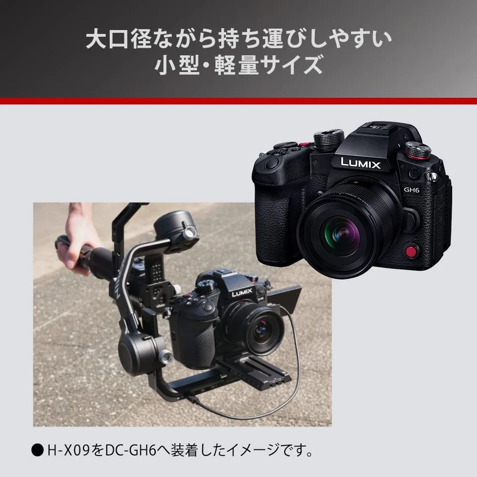 Panasonic H-X09 Leica DG Summilux 9mm f/1.7 ASPH for Micro Four Thirds F/S JPN - Image 4 of 4