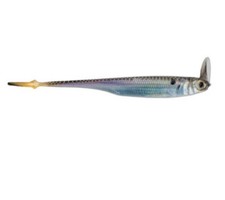 6th Sense Masterclass Strobe Shaker 4.0 Fishing Lure 5pk Live Gizzard